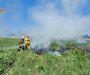 На Сумщині вогнеборці ліквідовували загоряння сухої рослинності