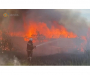 На Сумщині вогнеборці ліквідували масштабне загоряння в житловому секторі