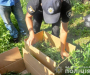 На Сумщині поліцейські викрили чоловіка в незаконному зберіганні та вирощуванні конопель
