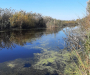 На Сумщині  у водоймі виявлено тіло безвісти зниклого 18-річного юнака