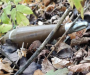 На Сумщині вибухотехніки поліції вилучили російський снаряд 
