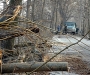 Спасите парк: Прокопенко попросил муниципальную охрану защитить места отдыха от сумчан