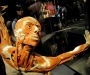 Скандальная выставка: в Украину едет выставка человеческого тела 