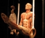 Скандальная выставка: в Украину едет выставка человеческого тела 