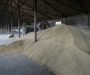 В Сумской области через окно частного зернохранилища трое мужчин украли почти две тонны зерна