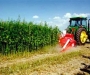 Закон: украинским предприятиям разрешили   выращивать коноплю 