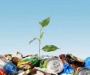 Органы местного самоуправления лишили права устанавливать и утверждать тарифы на переработку и захоронение бытовых   отходов