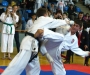 Последняя репетиция: в Ахтырке прошел открытый чемпионат области по карате