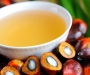 Совет дня: вред для здоровья от пальмового масла