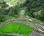 Точка на карте: Рисовые террасы в Банауэ (о.Лусон, Филиппины)