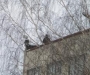 Ночью из Днепропетровска подъехала помощь для охраны Сумского хлебокомбината