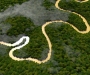 Точка на карте: Дождевые леса Амазонии (бассейн реки Амазонки, Бразилия)