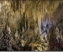 Точка на карте: Национальный парк «Карлсбадские пещеры» (Нью-Мехико, США)