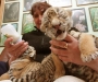 Тигры в Крыму. В Ялтинском зоопарке тигрица родила тройню